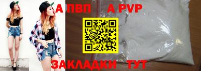 твердый Кингисепп