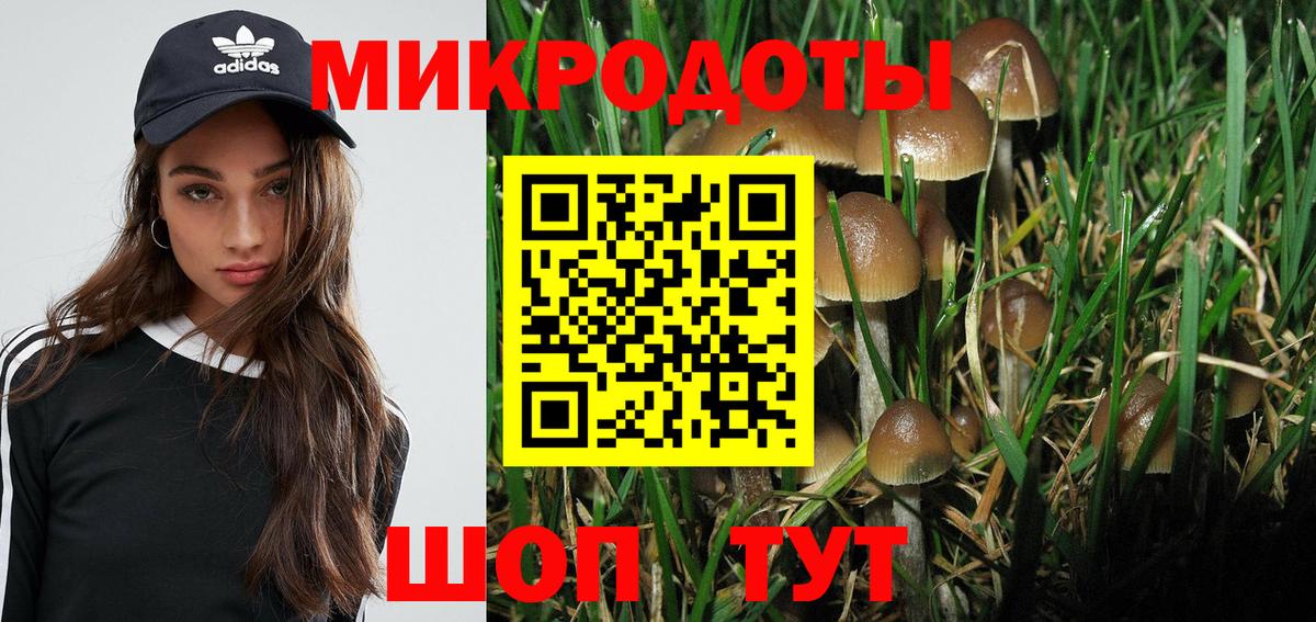 Псилоцибиновые грибы Cubensis Аксай