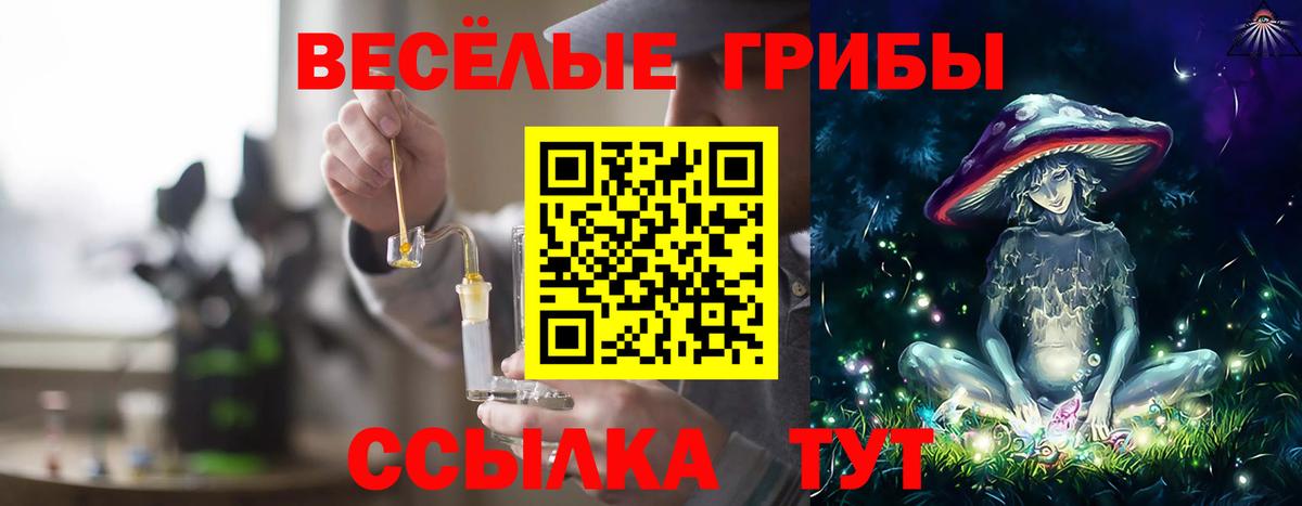 Аксай  Галлюциногенные грибы прущие грибы  Вход с VPN  Галлюциногенные грибы GOLDEN TEACHER 